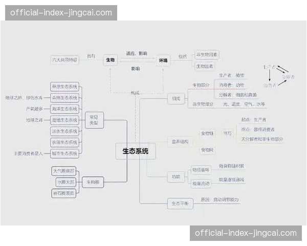 伙伴生态系统治理框架建立 明确多方协作中的权责利分配